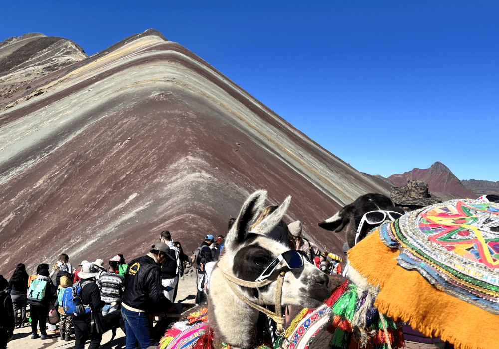 Llamas and hikers gathered at Peru's Rainbow Mountain.